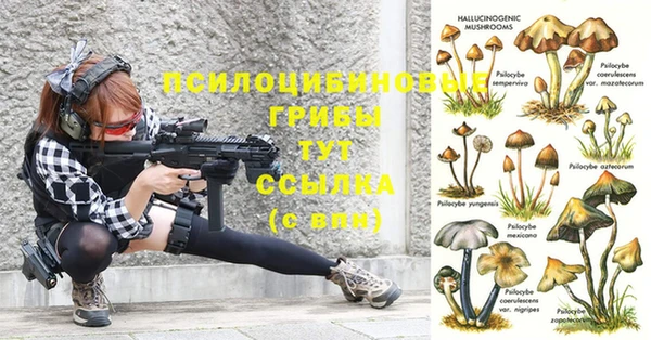 гидропоника Алексин